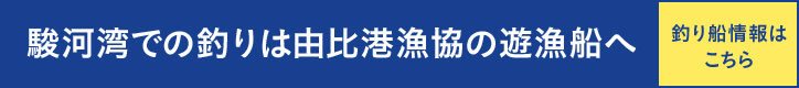 由比漁協の遊漁船へのご案内