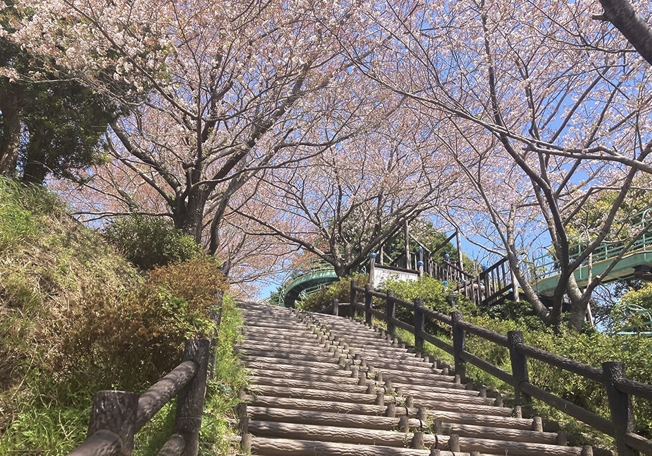 陣笠山公園